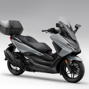 Pearl Falcon Gray